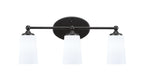 Toltec Lighting | 5913-MB-261