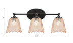 Toltec Lighting | 5913-MB-4233