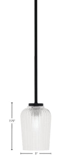 Sandia One Light Mini Pendant in Matte Black with Clear Textured Shade