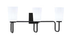 Toltec Lighting | 6223-MB-261