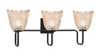 Toltec Lighting | 6223-MB-4233