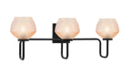 Toltec Lighting | 6223-MB-4623