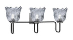Toltec Lighting | 6223-MBGP-4232