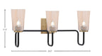 Toltec Lighting | 6223-MBNAB-263