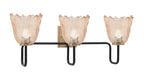 Toltec Lighting | 6223-MBNAB-4233