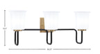 Toltec Lighting | 6223-MBNAB-5031