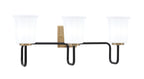 Toltec Lighting | 6223-MBNAB-5031