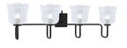Toltec Lighting | 6224-MB-4230