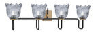 Toltec Lighting | 6224-MBNAB-4232