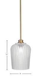 Cordova One Light Pendant in New Age Brass with 9" Clear Textured Shade