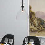 Juno One Light Pendant in Matte Black with 16" Clear Bubble Shade