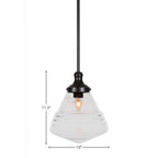 Juno One Light Pendant in Matte Black with 10" Clear Bubble Shade