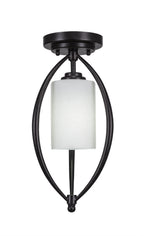 Toltec LightingHome| 2417-DG-310