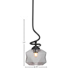 Capri One Light Pendant in Matte Black with 8.75" Smoke Shade