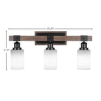 Toltec LightingHome| 1843-MBDW-310